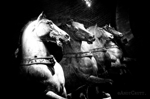 Final Pic Bronze Horses