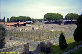Mastroberardino Vineyard in Pompeii